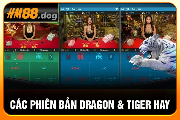 Các phiên bản Dragon & Tiger hay