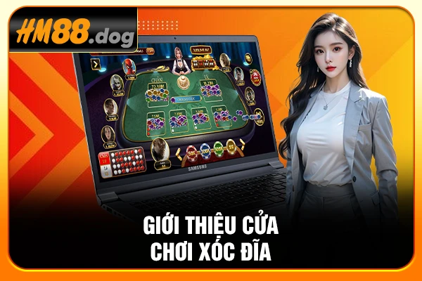 Giới thiệu cửa chơi xóc đĩa