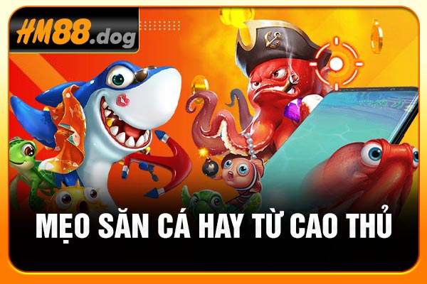 Mẹo săn cá hay từ cao thủ