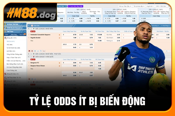 Tỷ lệ odds ít bị biến động